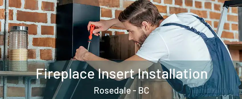 Fireplace Insert Installation Rosedale - BC
