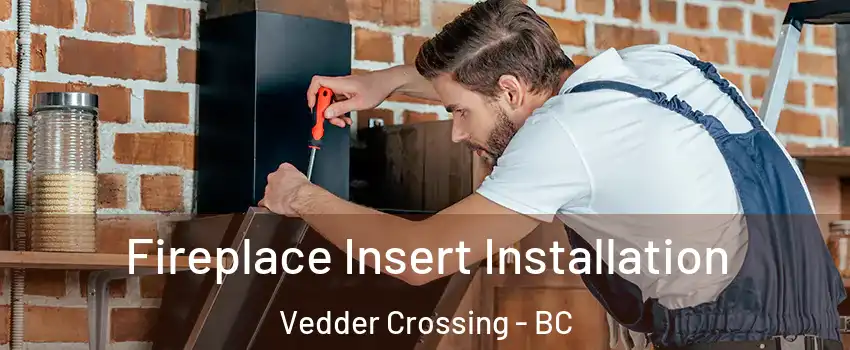 Fireplace Insert Installation Vedder Crossing - BC
