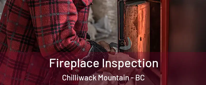 Fireplace Inspection Chilliwack Mountain - BC