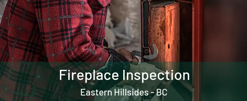 Fireplace Inspection Eastern Hillsides - BC
