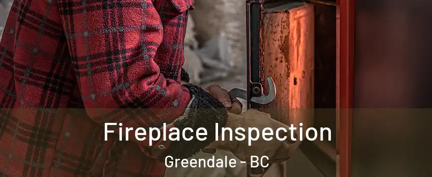 Fireplace Inspection Greendale - BC