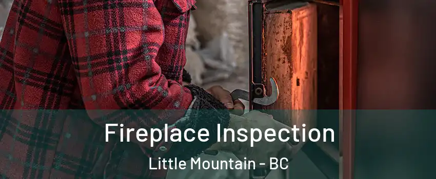Fireplace Inspection Little Mountain - BC