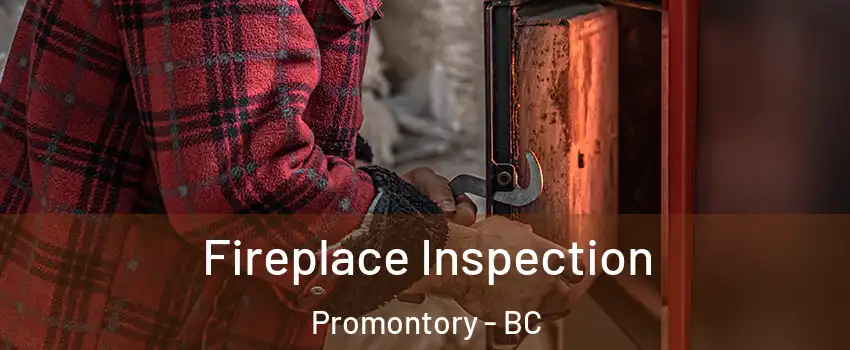 Fireplace Inspection Promontory - BC