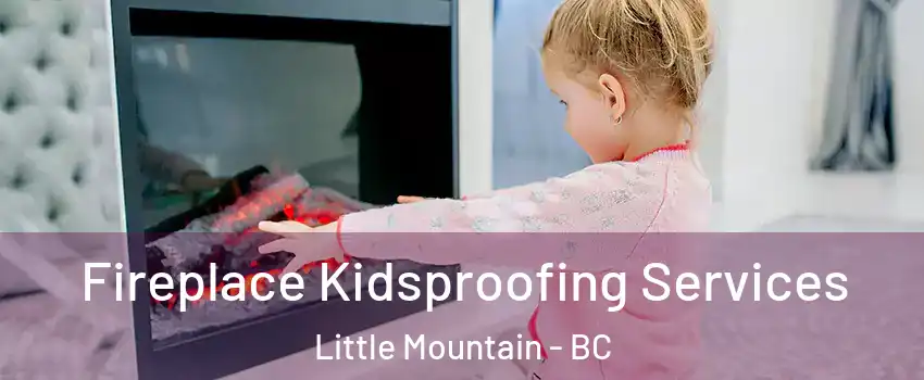 Fireplace Kidsproofing Services Little Mountain - BC