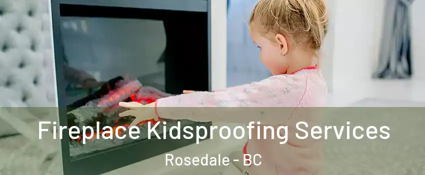 Fireplace Kidsproofing Services Rosedale - BC