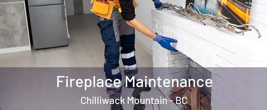 Fireplace Maintenance Chilliwack Mountain - BC
