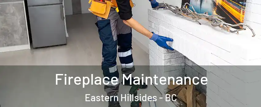  Fireplace Maintenance Eastern Hillsides - BC