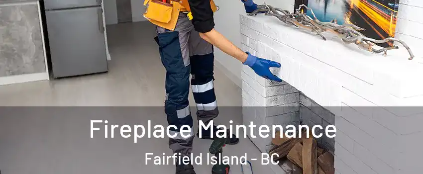 Fireplace Maintenance Fairfield Island - BC