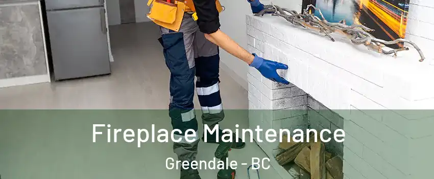 Fireplace Maintenance Greendale - BC