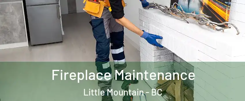 Fireplace Maintenance Little Mountain - BC