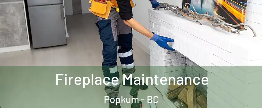 Fireplace Maintenance Popkum - BC