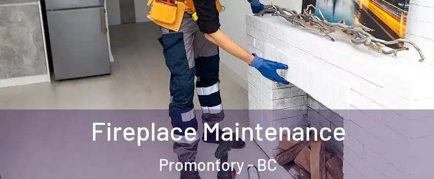 Fireplace Maintenance Promontory - BC