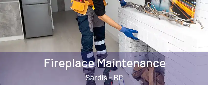 Fireplace Maintenance Sardis - BC