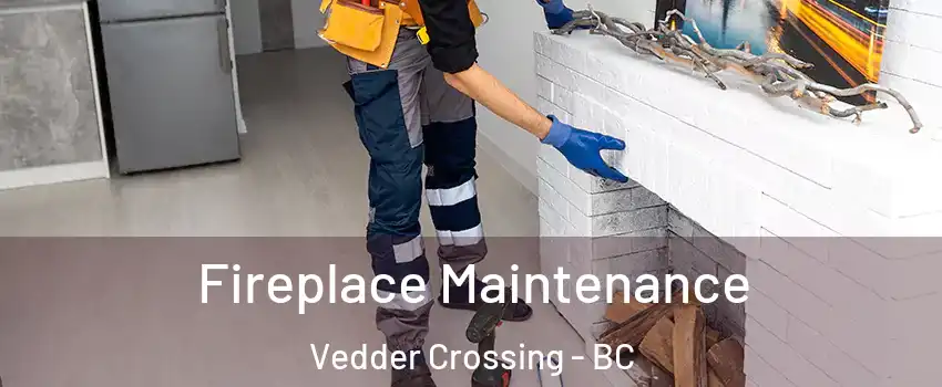 Fireplace Maintenance Vedder Crossing - BC