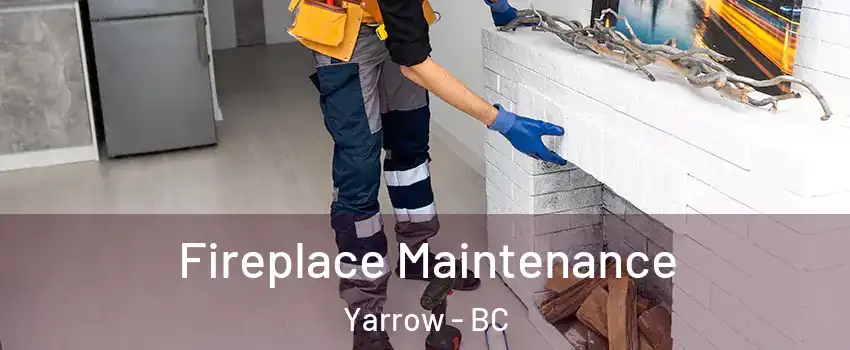 Fireplace Maintenance Yarrow - BC