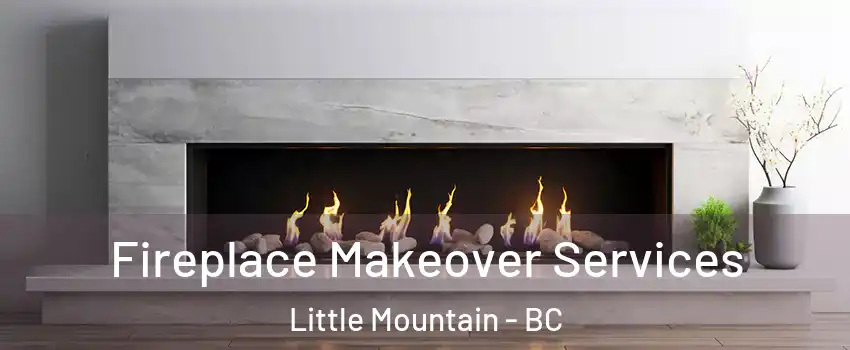 Fireplace Makeover Services Little Mountain - BC