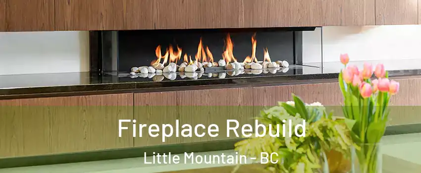 Fireplace Rebuild Little Mountain - BC
