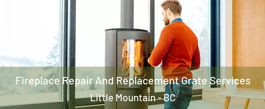 Fireplace Repair And Replacement Grate Services Little Mountain - BC