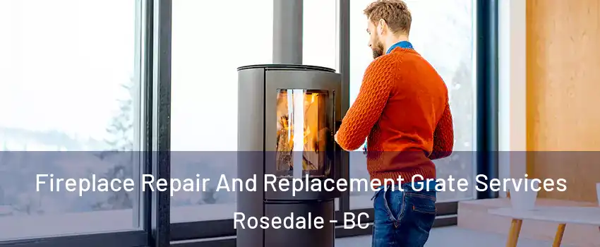Fireplace Repair And Replacement Grate Services Rosedale - BC