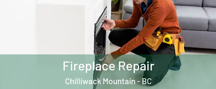 Fireplace Repair Chilliwack Mountain - BC