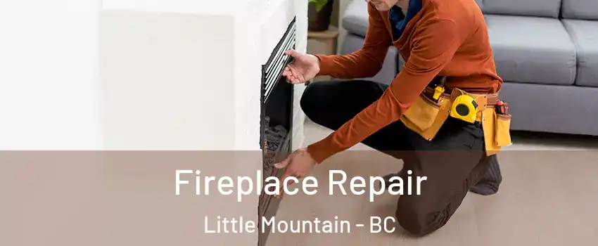  Fireplace Repair Little Mountain - BC