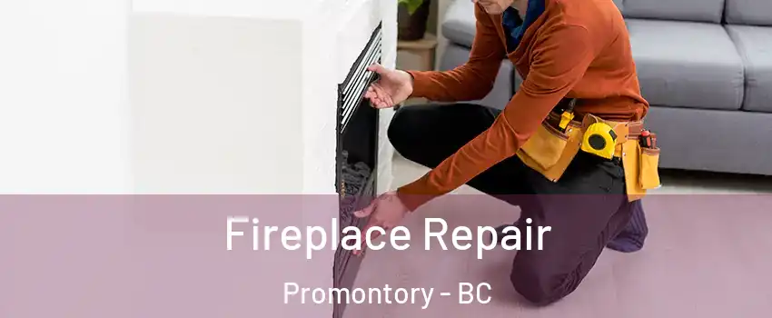 Fireplace Repair Promontory - BC