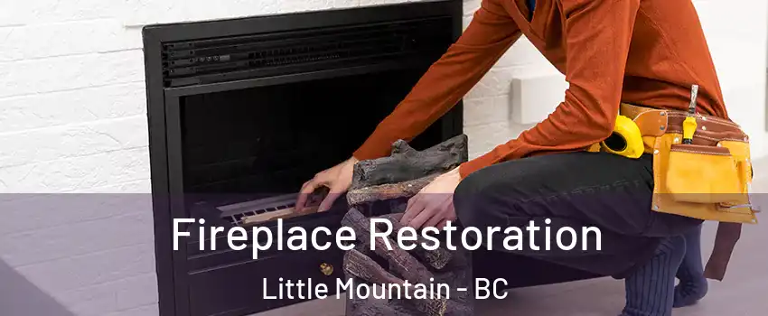 Fireplace Restoration Little Mountain - BC