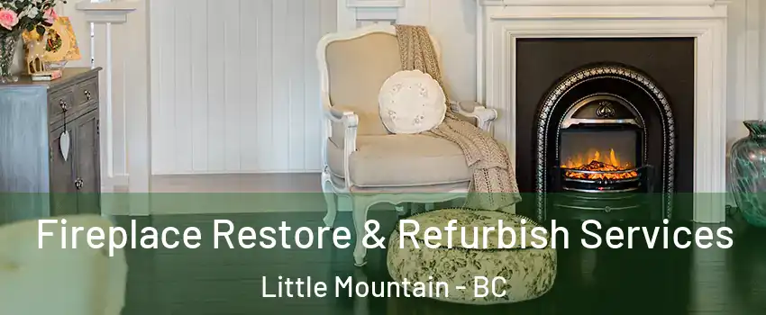 Fireplace Restore & Refurbish Services Little Mountain - BC