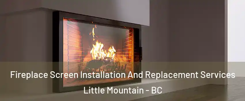 Fireplace Screen Installation And Replacement Services Little Mountain - BC
