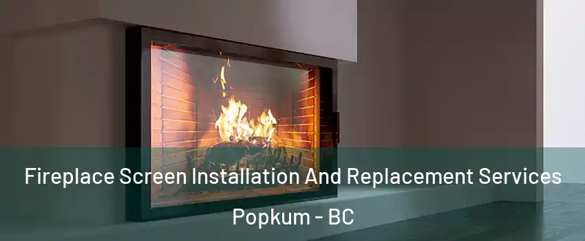 Fireplace Screen Installation And Replacement Services Popkum - BC