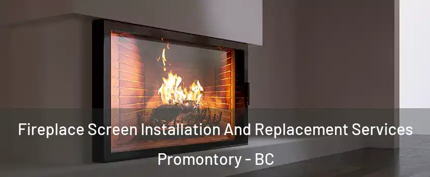 Fireplace Screen Installation And Replacement Services Promontory - BC