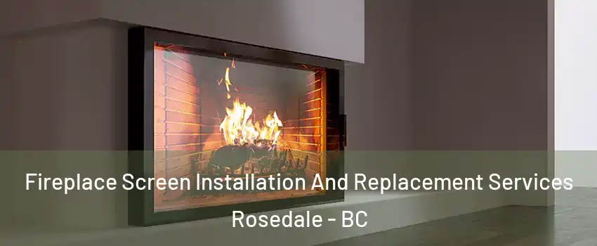 Fireplace Screen Installation And Replacement Services Rosedale - BC