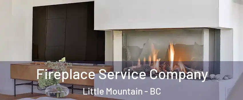 Fireplace Service Company Little Mountain - BC