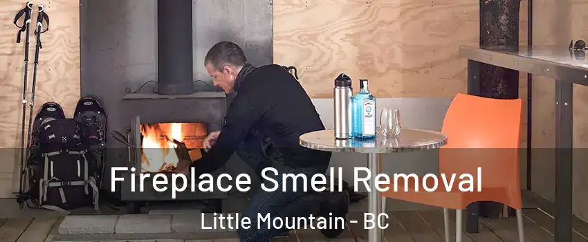 Fireplace Smell Removal Little Mountain - BC
