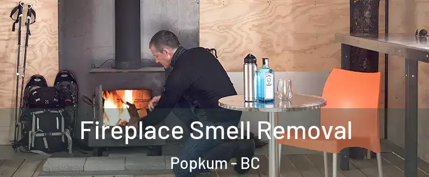 Fireplace Smell Removal Popkum - BC
