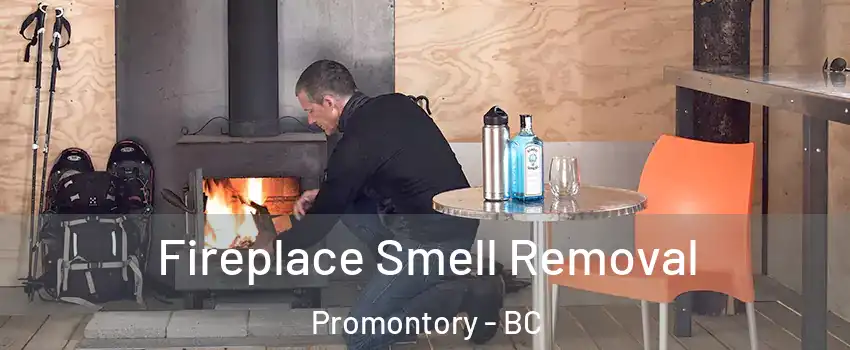 Fireplace Smell Removal Promontory - BC