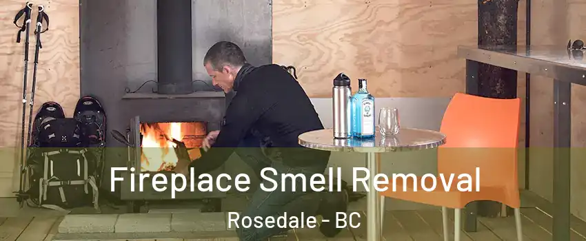 Fireplace Smell Removal Rosedale - BC