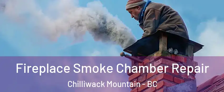 Fireplace Smoke Chamber Repair Chilliwack Mountain - BC