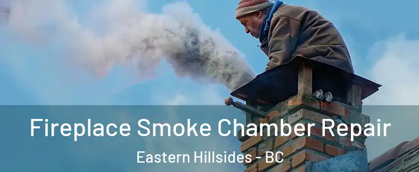  Fireplace Smoke Chamber Repair Eastern Hillsides - BC