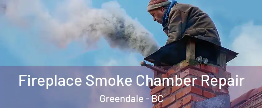 Fireplace Smoke Chamber Repair Greendale - BC