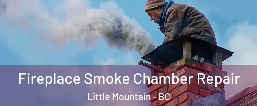 Fireplace Smoke Chamber Repair Little Mountain - BC