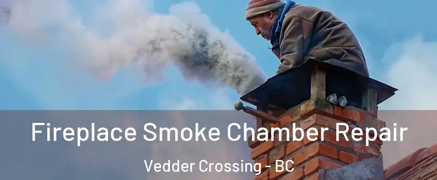 Fireplace Smoke Chamber Repair Vedder Crossing - BC