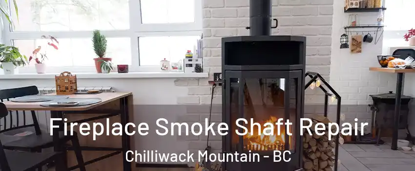 Fireplace Smoke Shaft Repair Chilliwack Mountain - BC