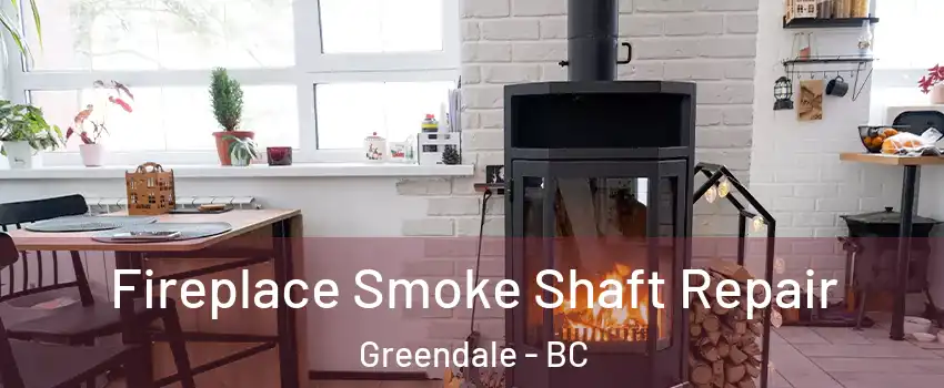 Fireplace Smoke Shaft Repair Greendale - BC