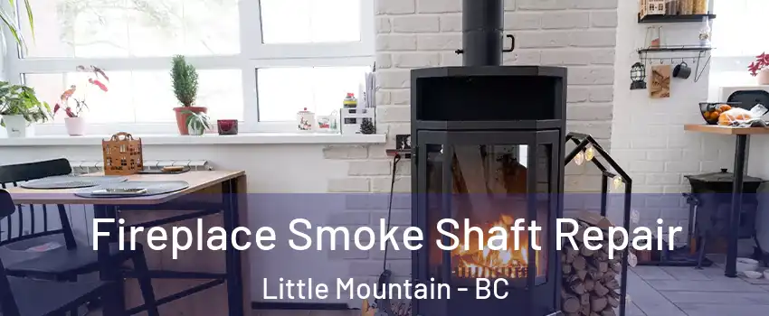 Fireplace Smoke Shaft Repair Little Mountain - BC