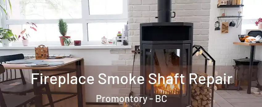 Fireplace Smoke Shaft Repair Promontory - BC