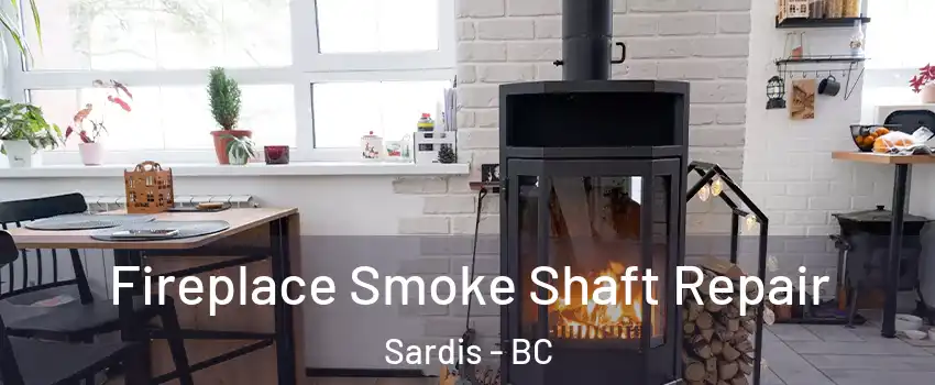 Fireplace Smoke Shaft Repair Sardis - BC
