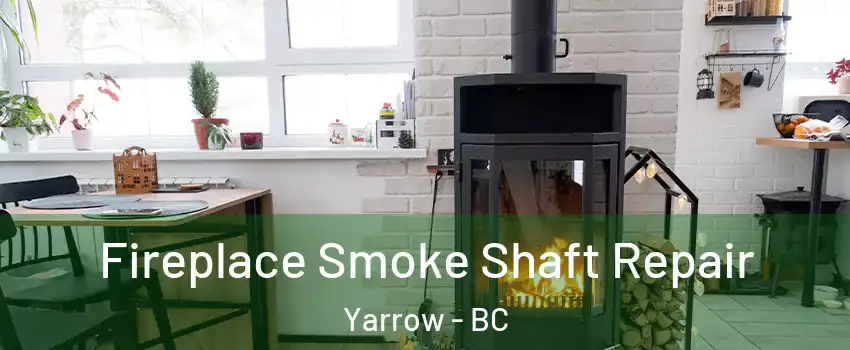 Fireplace Smoke Shaft Repair Yarrow - BC
