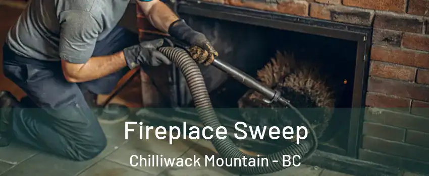 Fireplace Sweep Chilliwack Mountain - BC