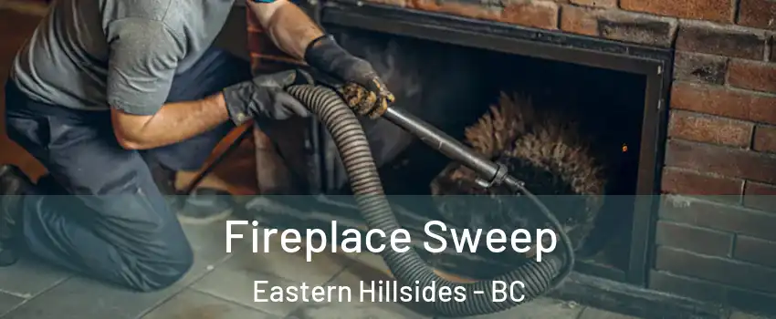 Fireplace Sweep Eastern Hillsides - BC